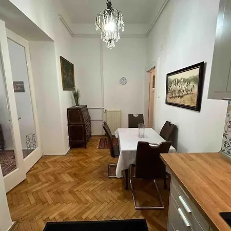 Classic Flat Near The Danube *