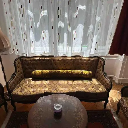 Classic Flat Near The Danube Apartment
